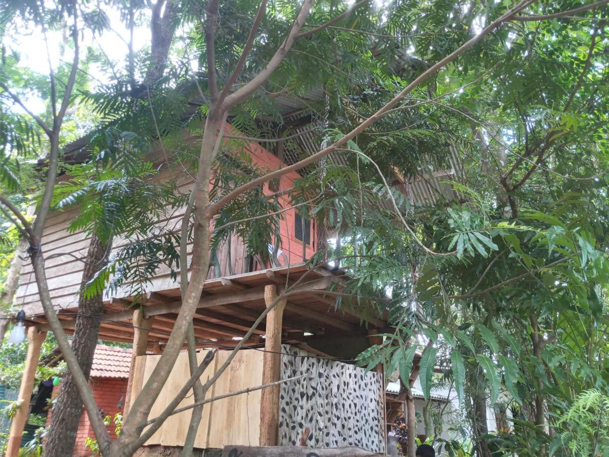 شقة Angry Birds Tree House هاباران المظهر الخارجي الصورة