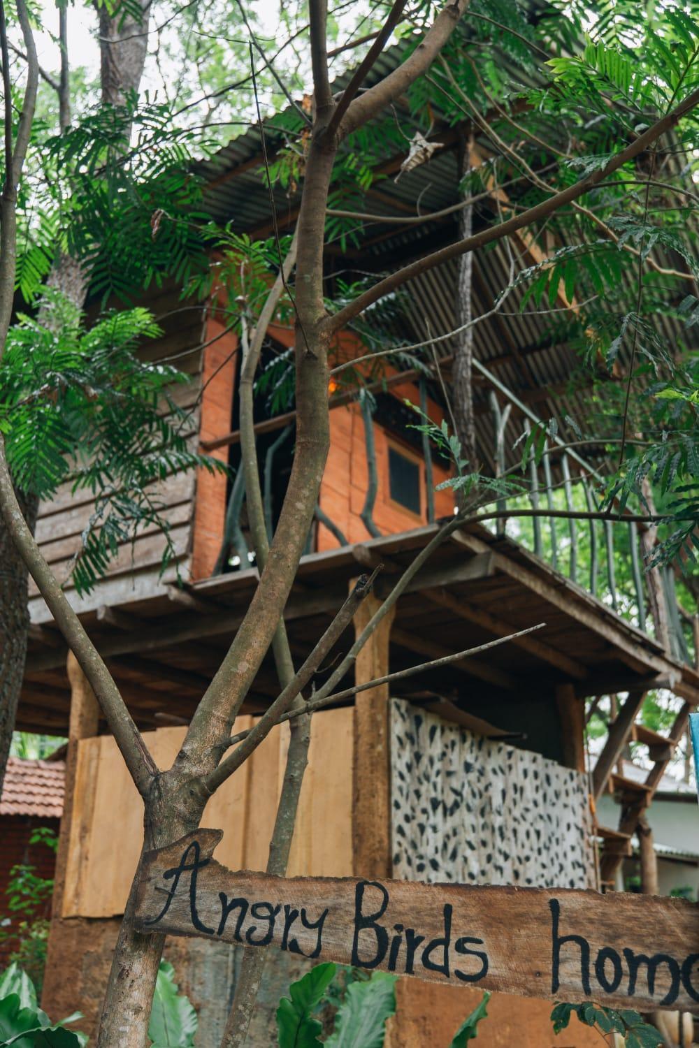 شقة Angry Birds Tree House هاباران المظهر الخارجي الصورة