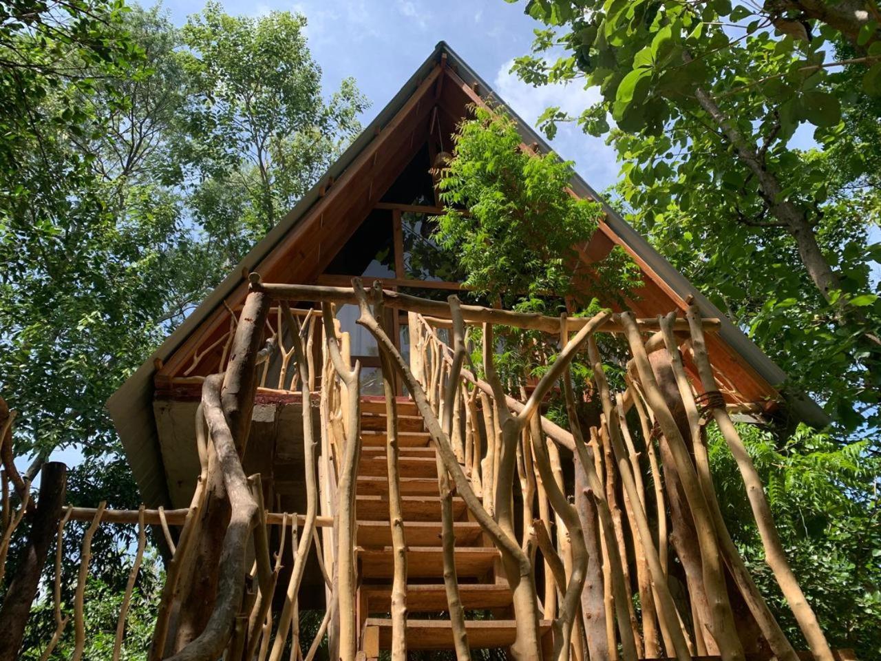 شقة Angry Birds Tree House هاباران الغرفة الصورة