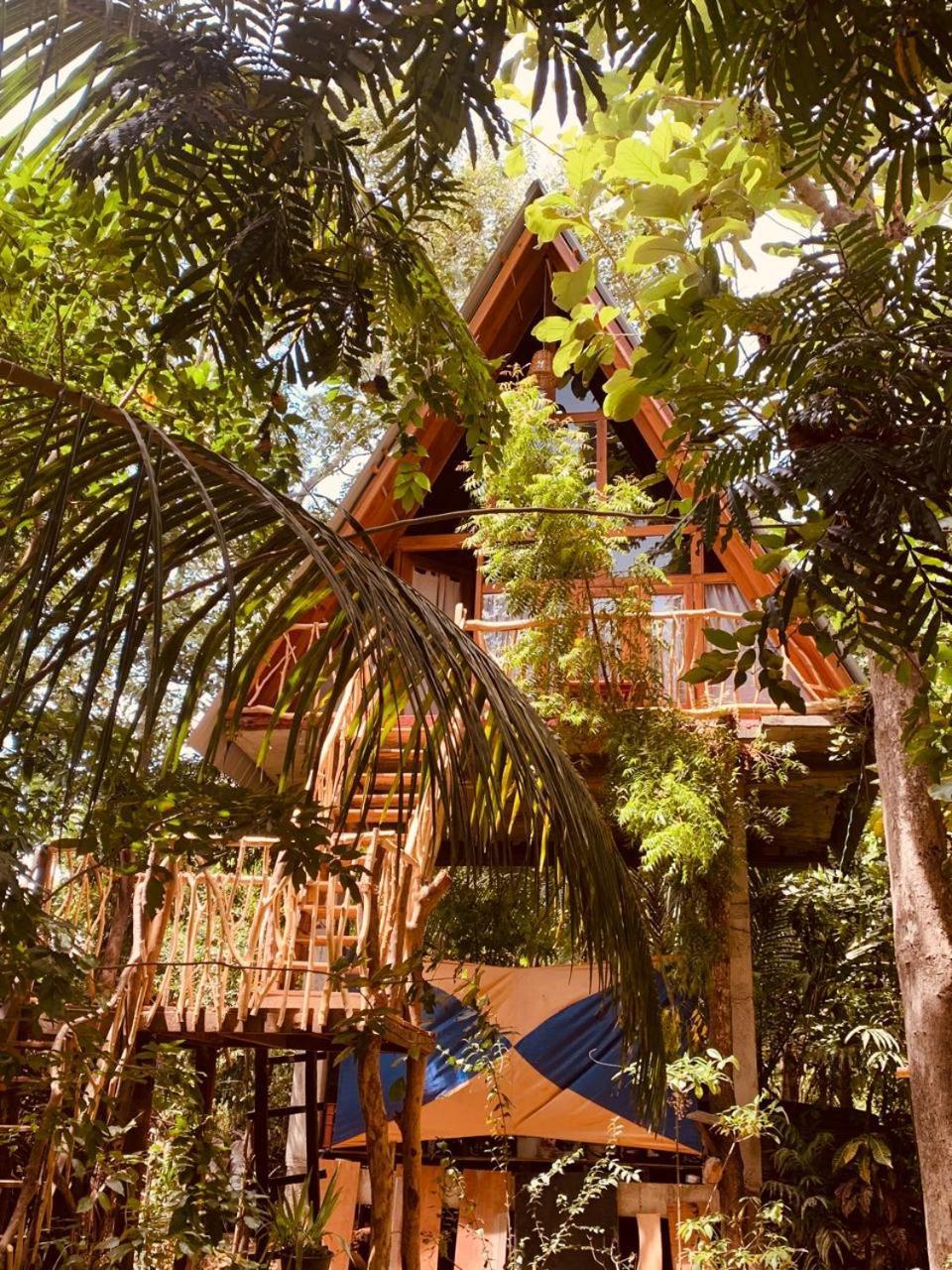 شقة Angry Birds Tree House هاباران المظهر الخارجي الصورة