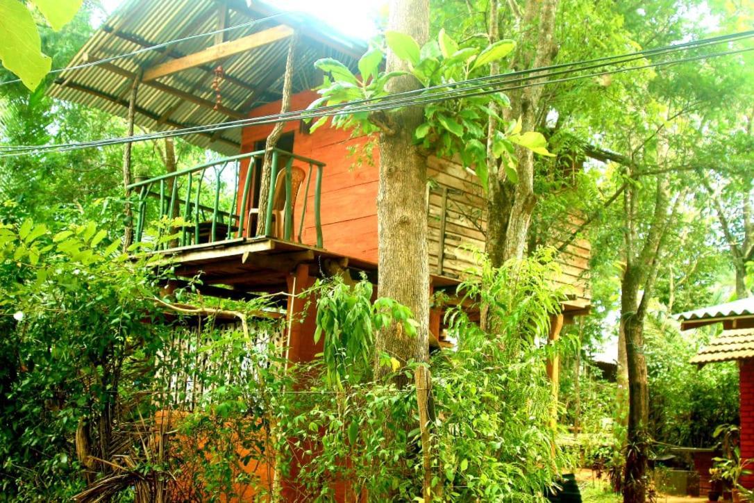 شقة Angry Birds Tree House هاباران المظهر الخارجي الصورة